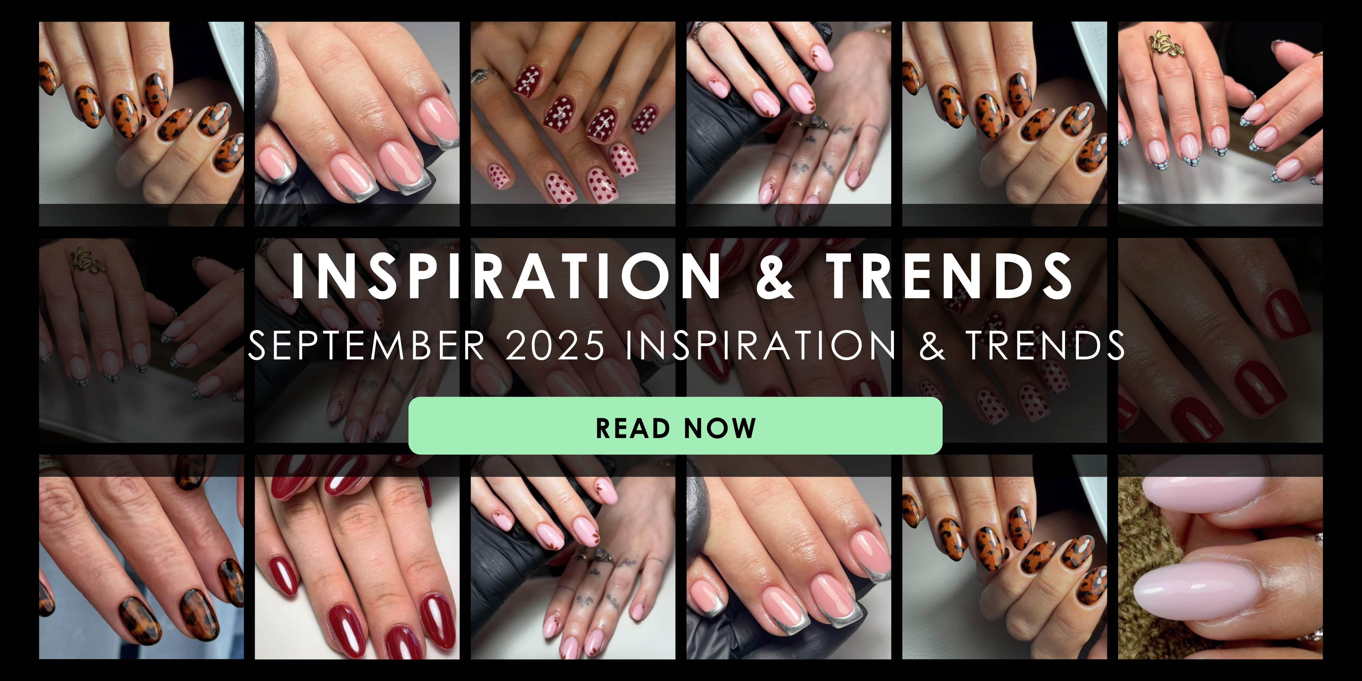 September 2025 Inspiration & Trends