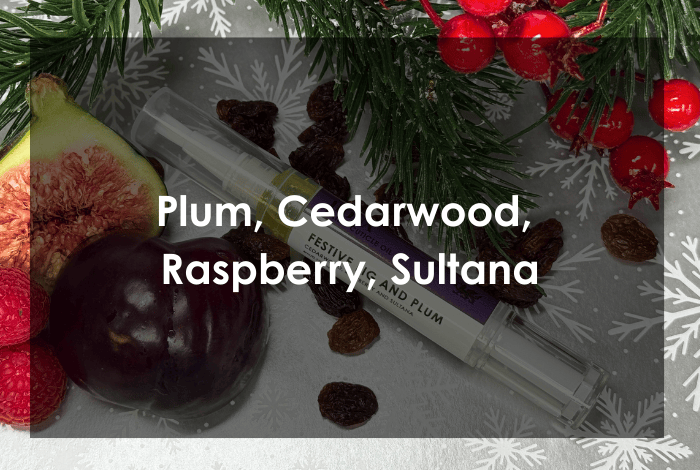 Nail & Cuticle Oil Pen - Festive Fig & Plum