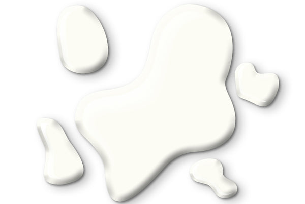Pure Foundation - Swan