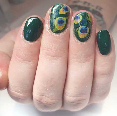 91 - Peacock Feathers