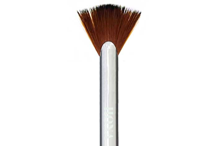 Fan Brush